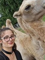 Job gesucht: Tierbetreuung / Hof-Vertretung / Aushilfe