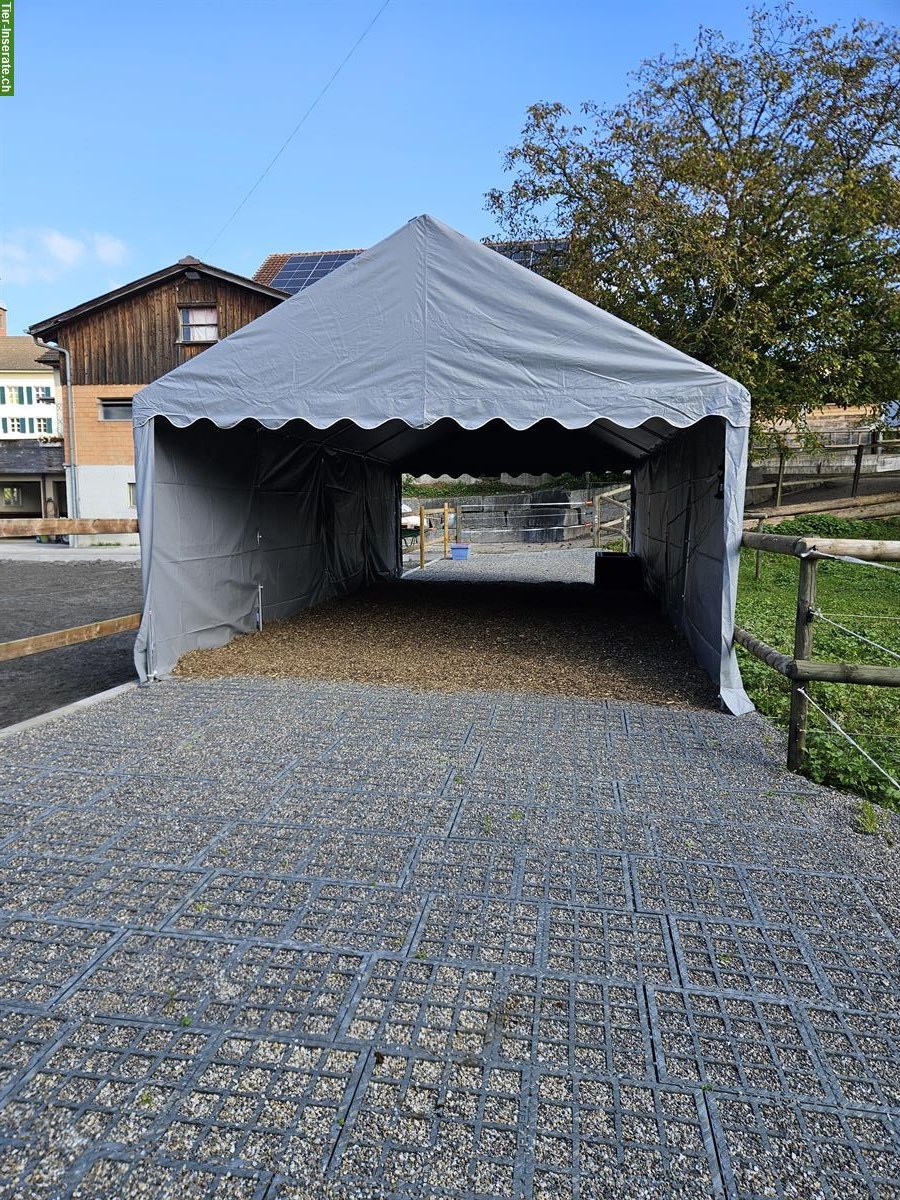 XXL Pferdeboxe mit grossem Auslauf in 9517 Mettlen