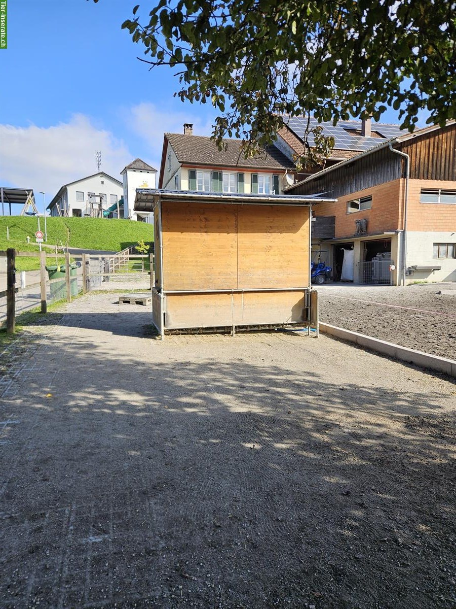 Bild 3: XXL Pferdeboxe mit grossem Auslauf in 9517 Mettlen
