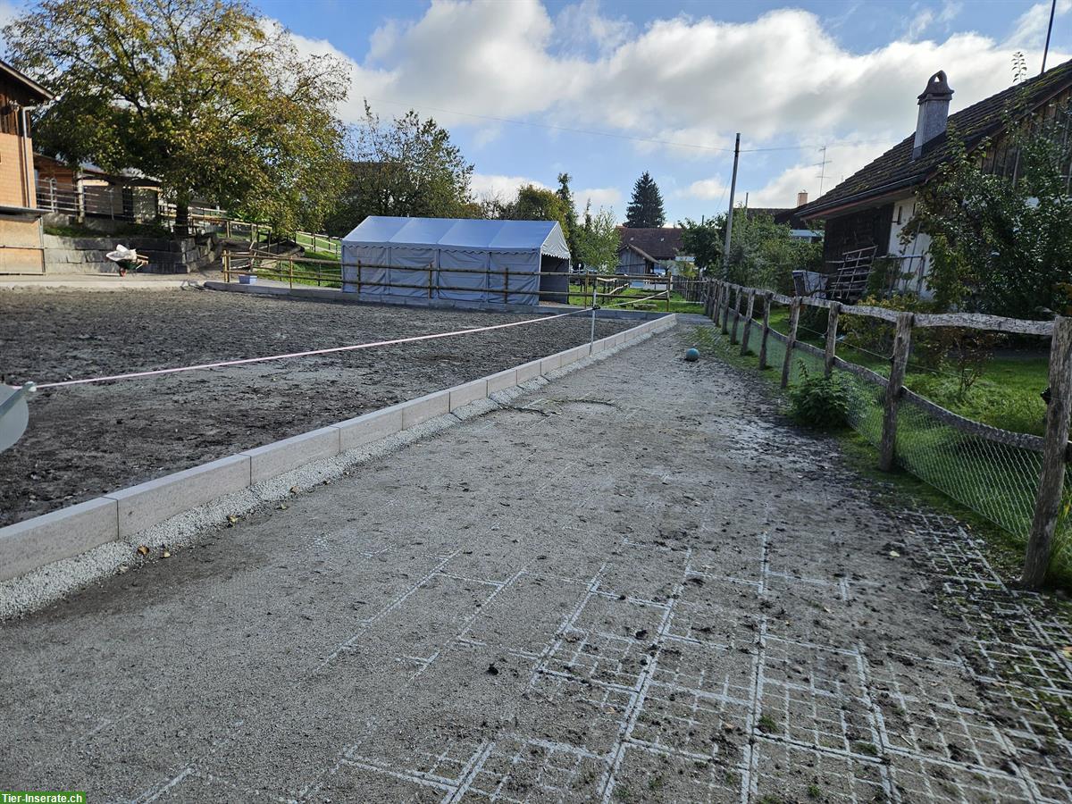 Bild 6: XXL Pferdeboxe mit grossem Auslauf in 9517 Mettlen