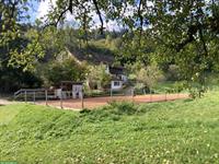 Freie Plätze in privatem Pony-Offenstall in Schönenberg TG