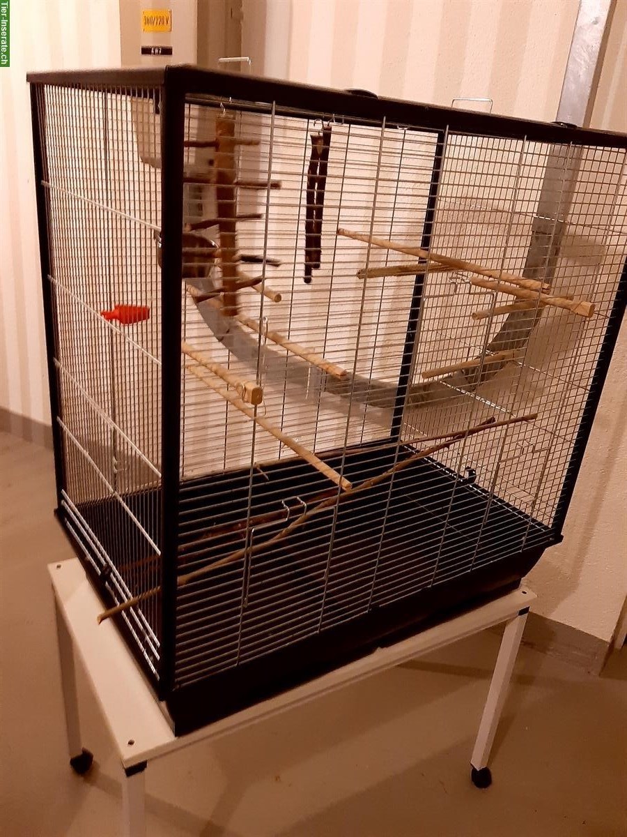 Kleiner Vogelkäfig gratis abzugeben
