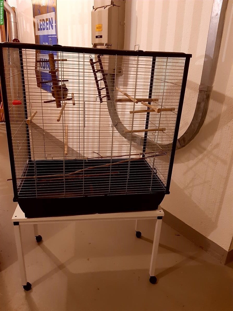 Bild 2: Kleiner Vogelkäfig gratis abzugeben