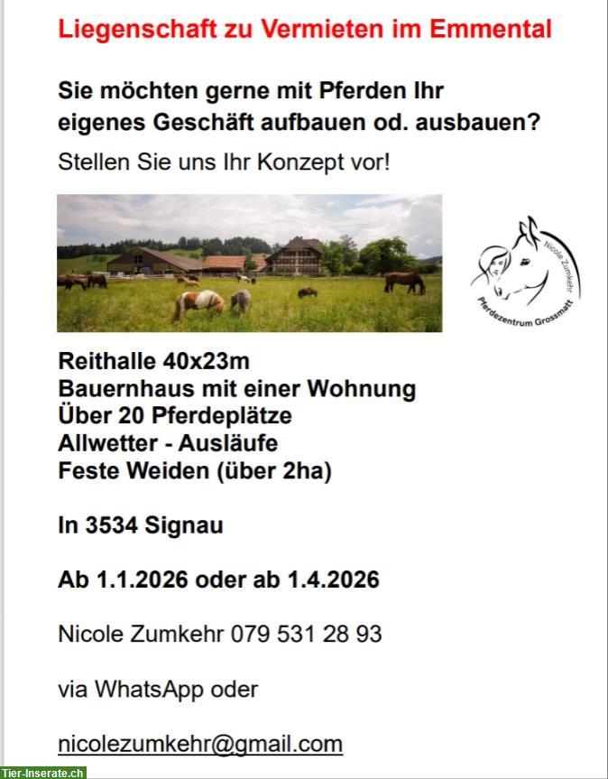 Bild 5: Reiterhof unbefristet zu vermieten