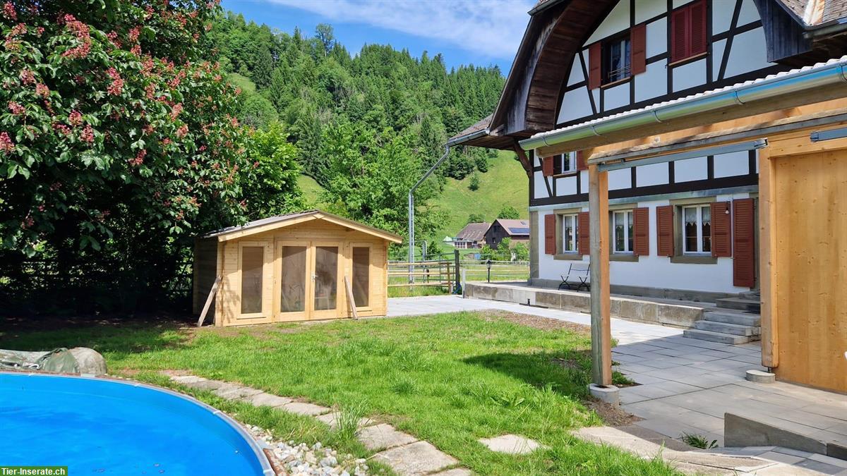 Bild 6: Reiterhof unbefristet zu vermieten
