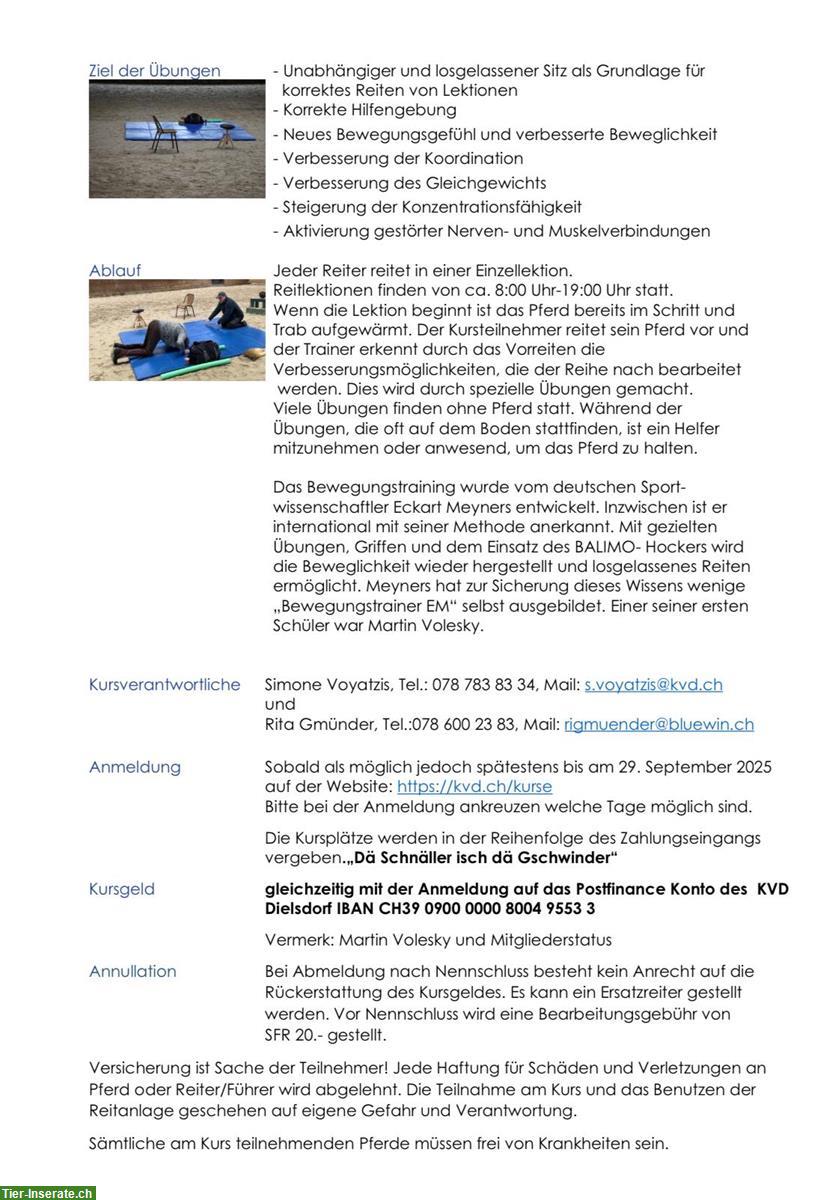 Bild 2: Bewegungslehrgang nach Eckart Meyners