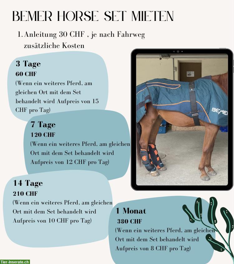 BEMER Horse Set zu vermieten, Umgebung SG/TG/AR/AI
