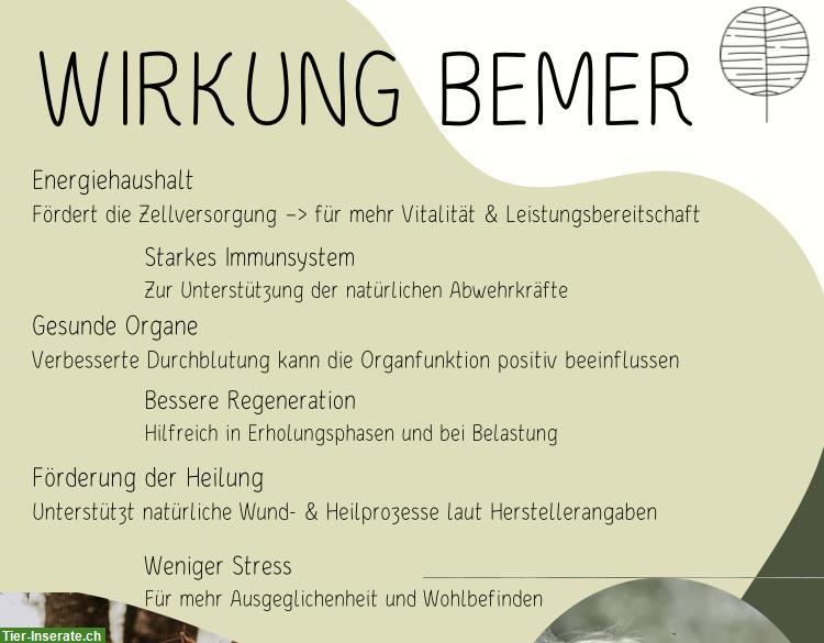 Bild 2: BEMER Horse Set zu vermieten, Umgebung SG/TG/AR/AI