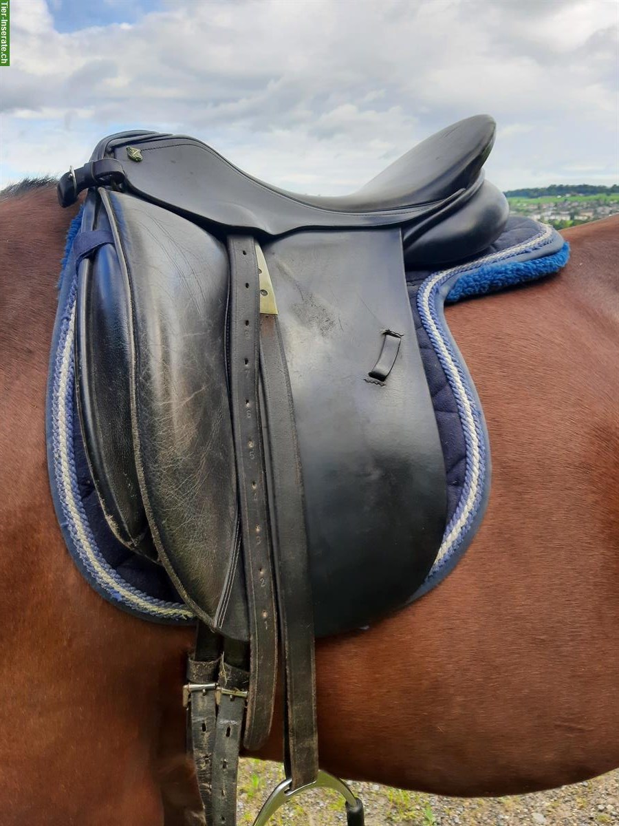 Massimo Dressursattel 17.5 Zoll zu verkaufen