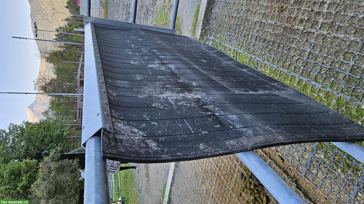 Bild 3: Schlagschutzmatten für Paddock zu verkaufen