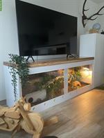 2 Boa Constrictor mit Terrarium-Komplettset zu verkaufen