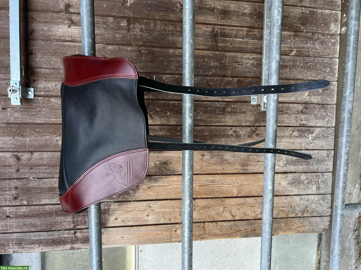 Bild 2: Bent Branderup Schulungspad (Reitpad) zu verkaufen
