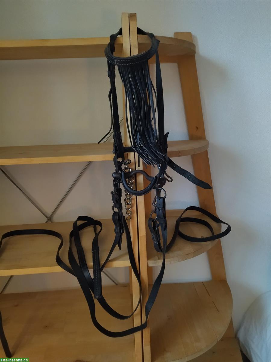 Bild 2: NEU: Spanischer Zaum mit Serreta, Kandare, 4 Zügel