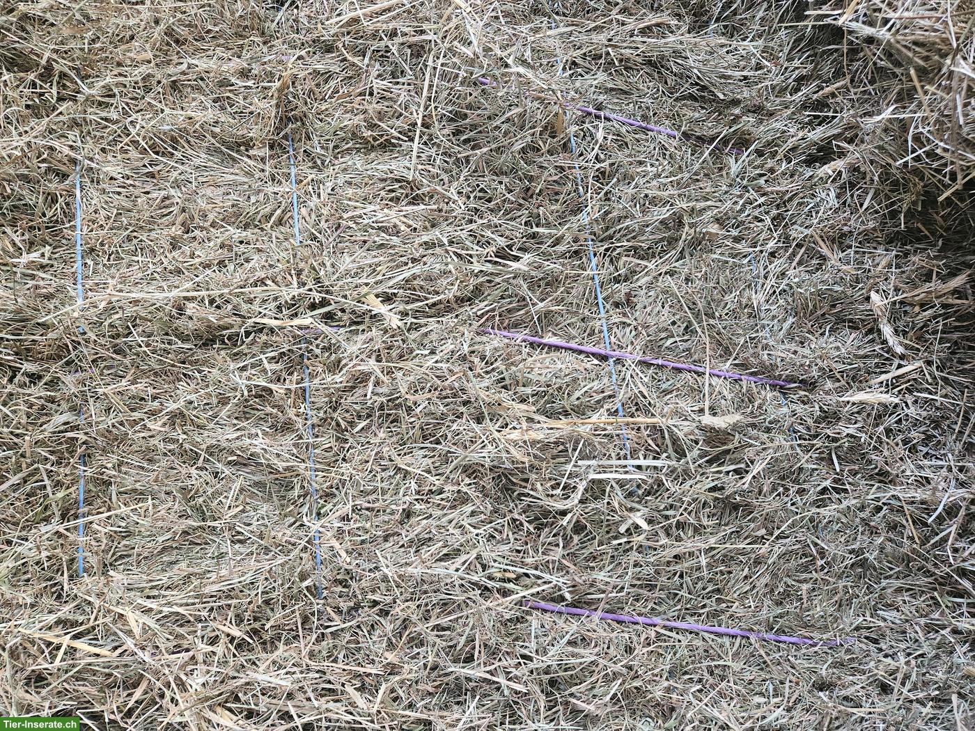 Bild 6: Top Heulage, Emd + Stroh in Kleinballen zu verkaufen