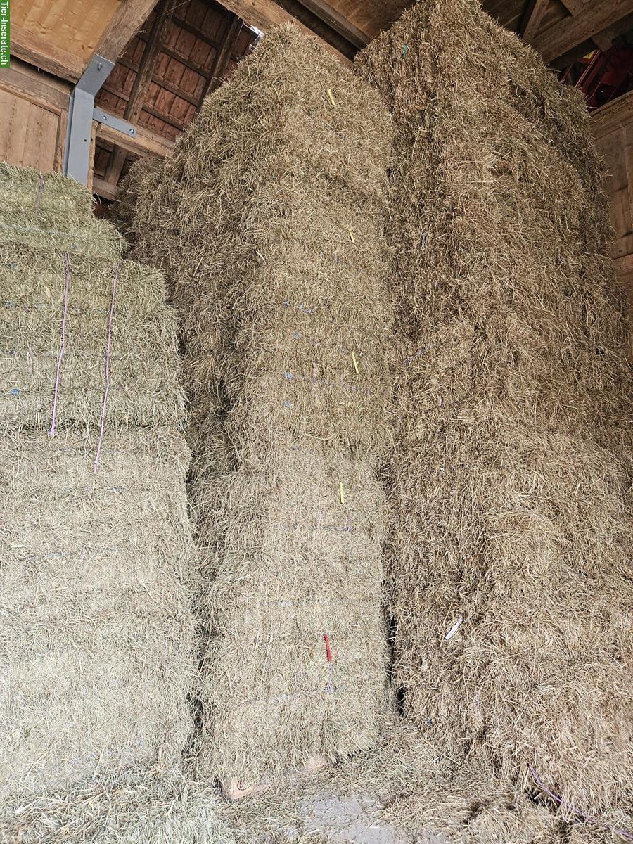 Bild 8: Top Heulage, Emd + Stroh in Kleinballen zu verkaufen