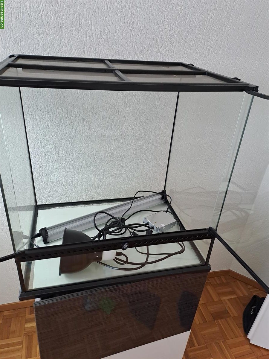 ExoTerra Glasterrarium mit LED und UV-B Lampe zu verkaufen