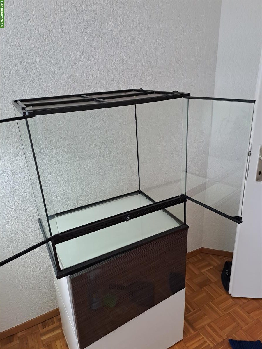 Bild 2: ExoTerra Glasterrarium mit LED und UV-B Lampe zu verkaufen