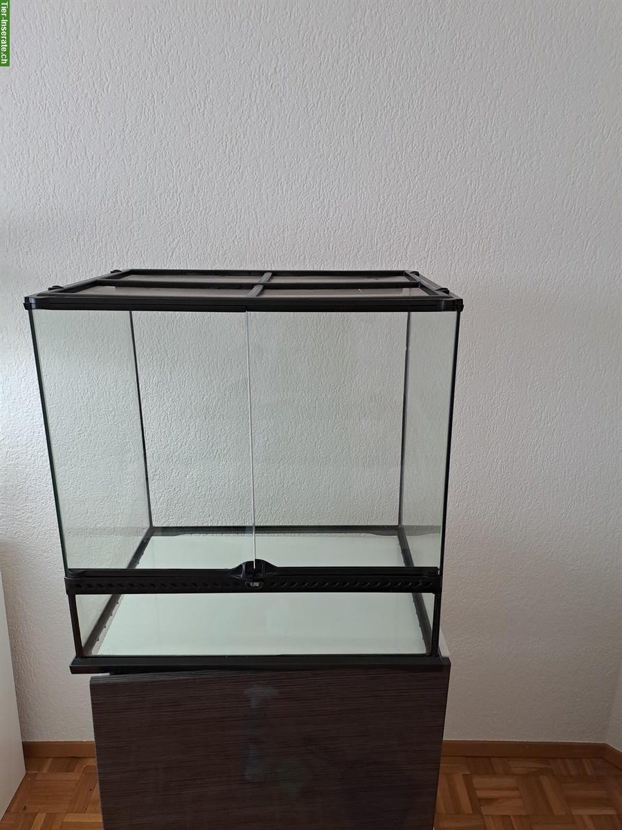 Bild 3: ExoTerra Glasterrarium mit LED und UV-B Lampe zu verkaufen
