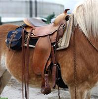 Equiflex Westernsattel 60cm zu verkaufen
