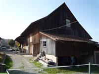 Grosszügige Auslaufboxe in Privatstall am Greifensee ZH