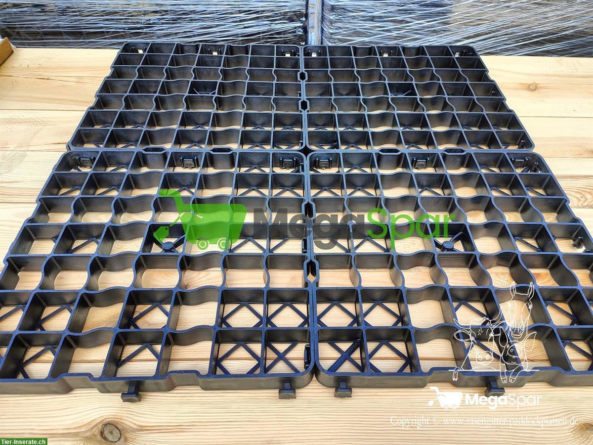 Bild 5: Paddockplatten 40mm zu verkaufen | Rasengitter & Kieswaben