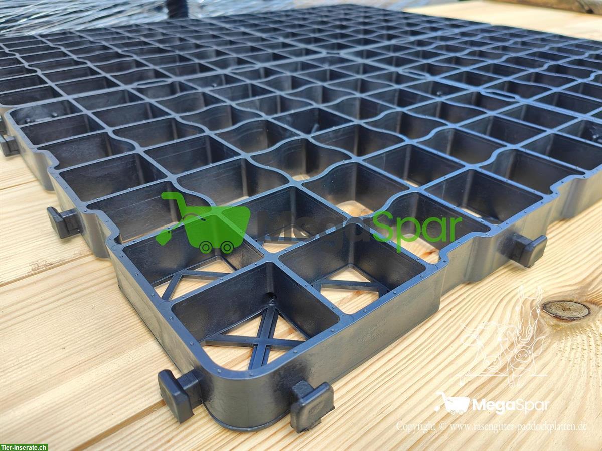Bild 6: Paddockplatten 40mm zu verkaufen | Rasengitter & Kieswaben