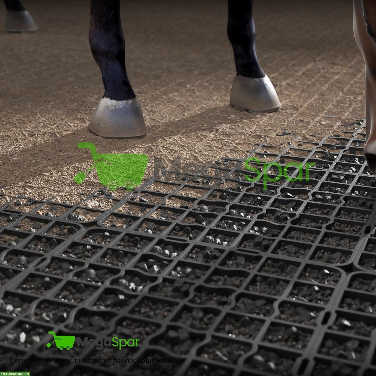 Bild 7: Paddockplatten 40mm zu verkaufen | Rasengitter & Kieswaben