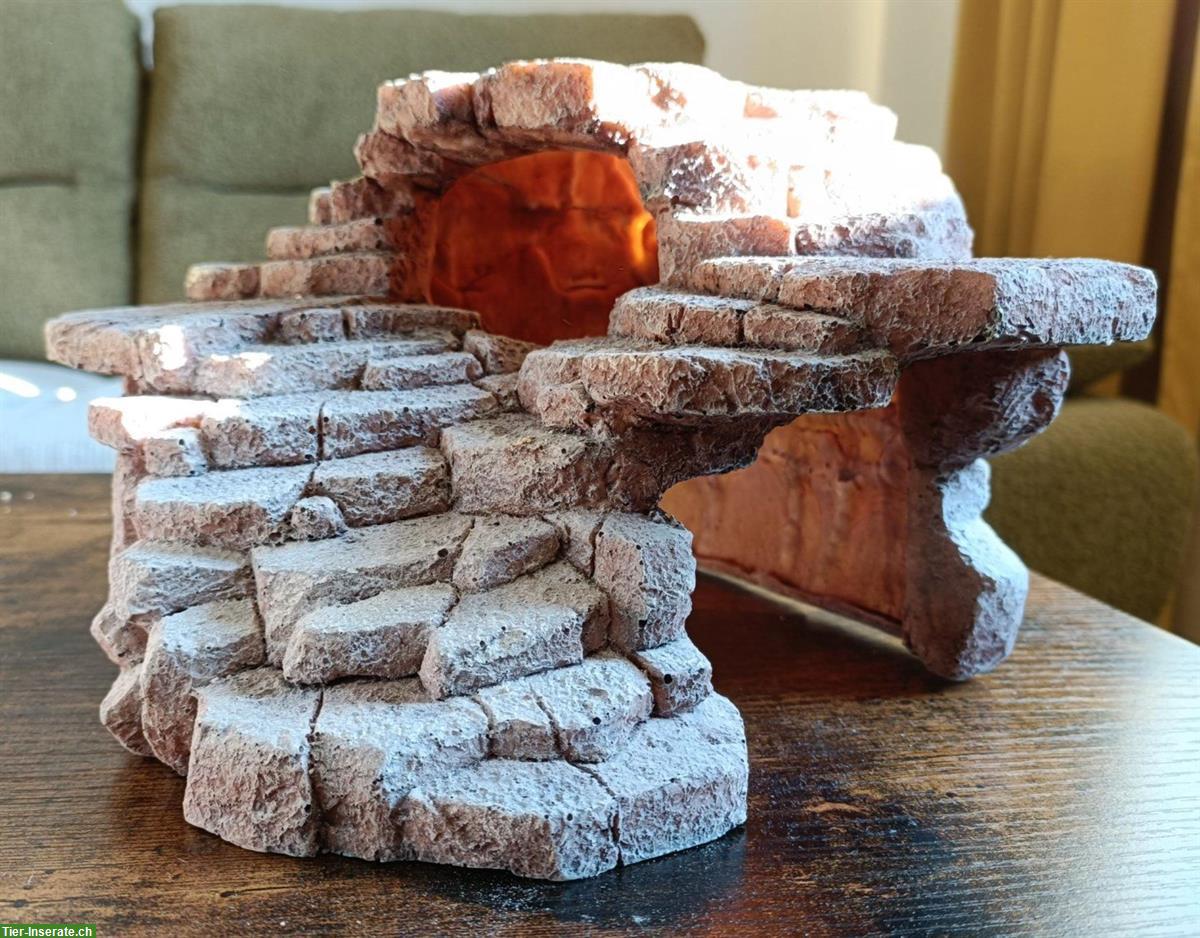 Bild 8: Grosses Glasterrarium für Reptilien und Amphibien