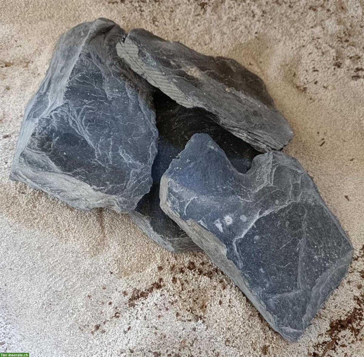 Bild 9: Grosses Glasterrarium für Reptilien und Amphibien