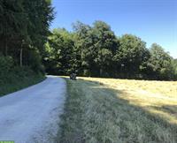 Offenstallplatz frei für ein Pferd in Bantigen, Bern