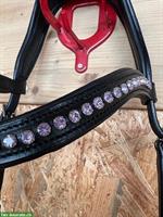 Prydi Isländer-Zaum, neu, schwarz mit Glitzer-Stirnband