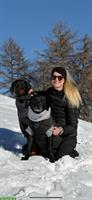 Biete Ferien- & Tagesbetreuung für Hunde im ZH Oberland