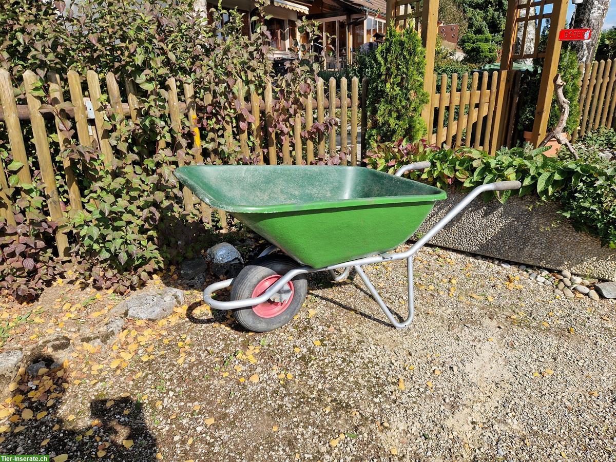 Grüne Kunststoffkarette 180 Liter, Zustand wie neu!