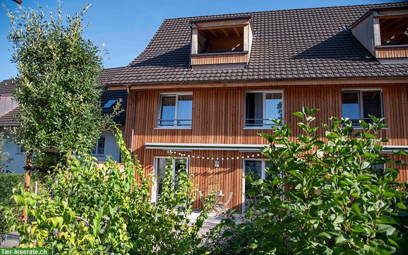 Vermieten 1 Zimmer Wohnung möbliert ab 1. Dezember