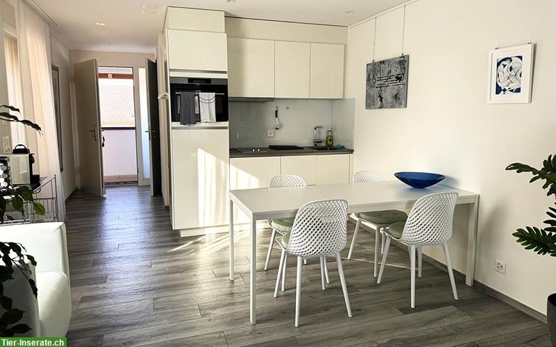 Bild 2: Vermieten 1 Zimmer Wohnung möbliert ab 1. Dezember