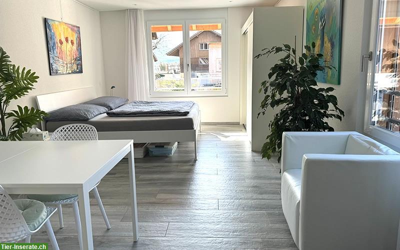 Bild 3: Vermieten 1 Zimmer Wohnung möbliert ab 1. Dezember