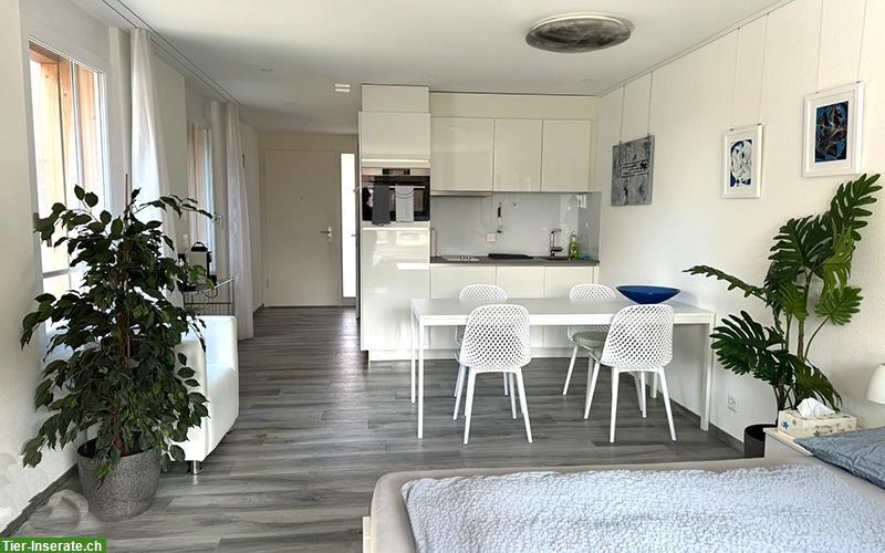 Bild 4: Vermieten 1 Zimmer Wohnung möbliert ab 1. Dezember