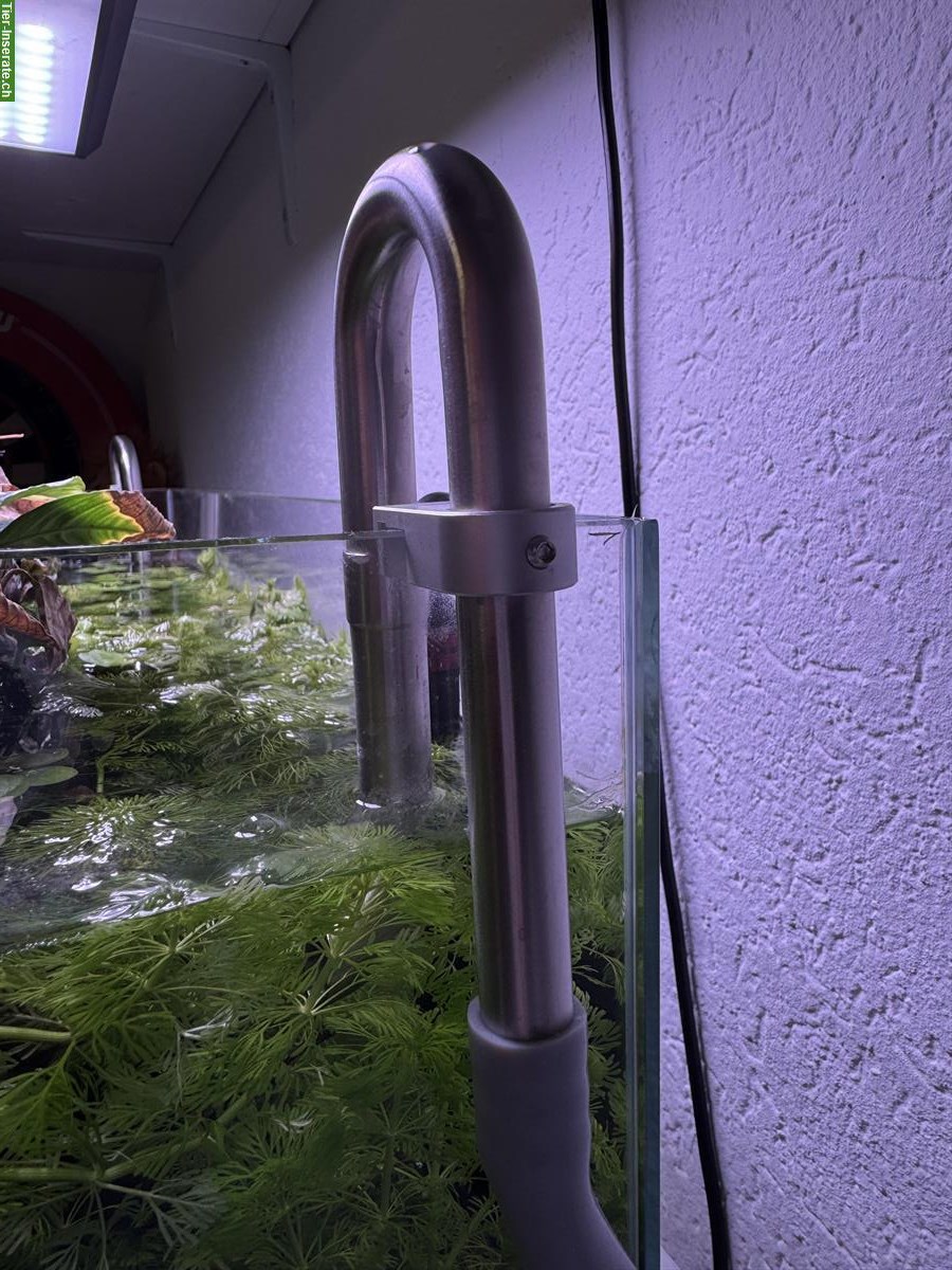 Bild 7: 45 Liter Aquarium, Aquascape Komplettpaket