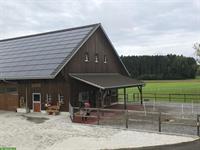 Pferdeboxe mit Auslauf in Waldkirch zu vermieten