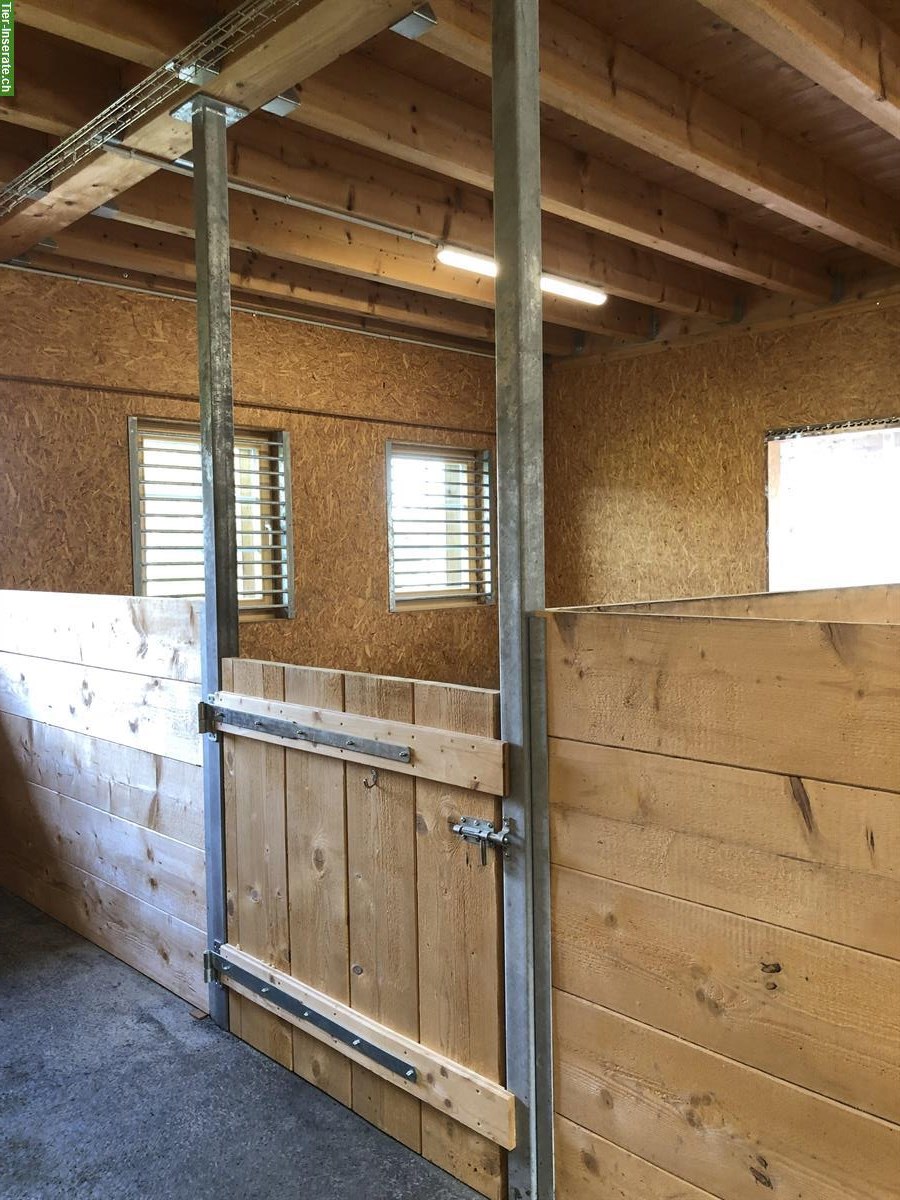 Bild 2: Pferdeboxe mit Auslauf in Waldkirch zu vermieten