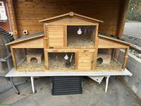 3 Meerschweinchen inklusiv schönem Kleintierstall