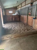 2 Auslaufboxen frei (Vollpension) in Bettlach SO
