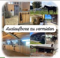 Grosse Auslaufboxe zu vermieten, Salmsach TG