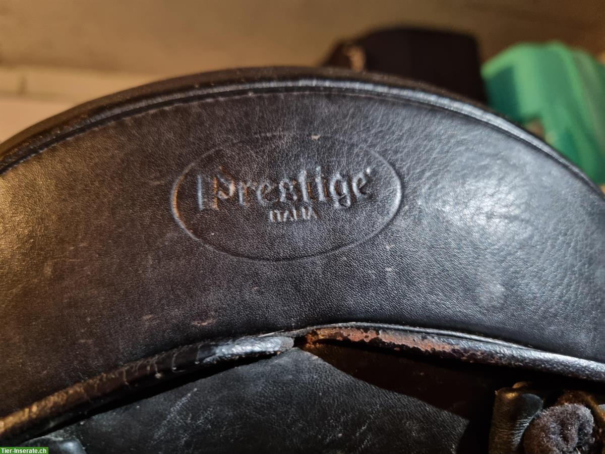 Bild 4: Prestige Dressursattel zu verkaufen