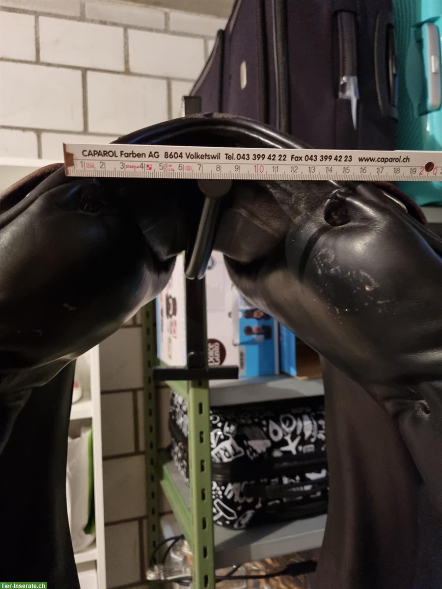 Bild 9: Prestige Dressursattel zu verkaufen