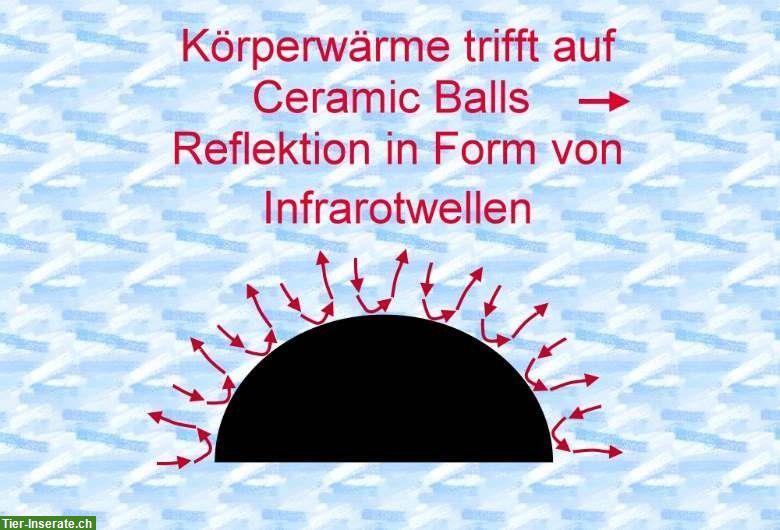 Bild 4: Therapiegamaschen für Pferde mit Arthrose zu verkaufen