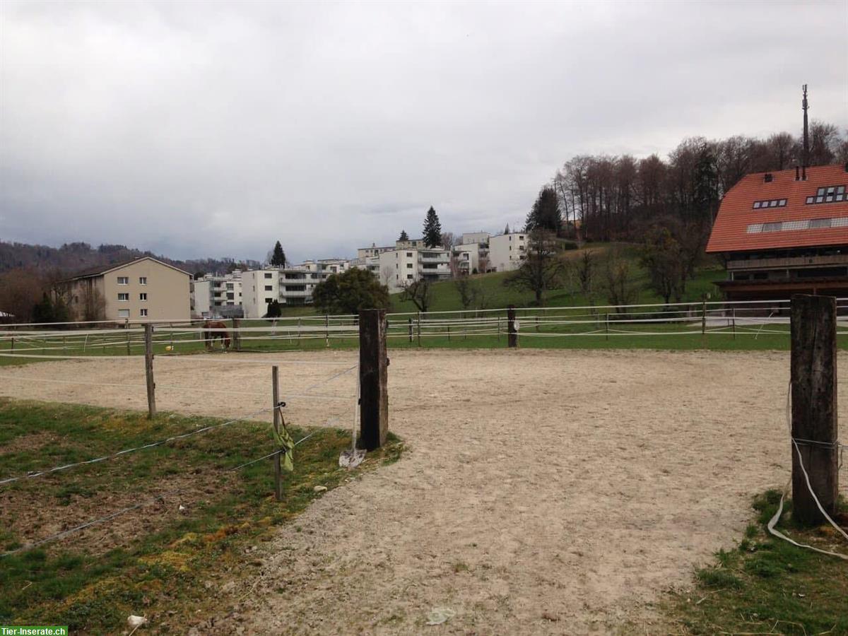 Bild 4: Auslaufboxe zu vermieten in Köniz BE