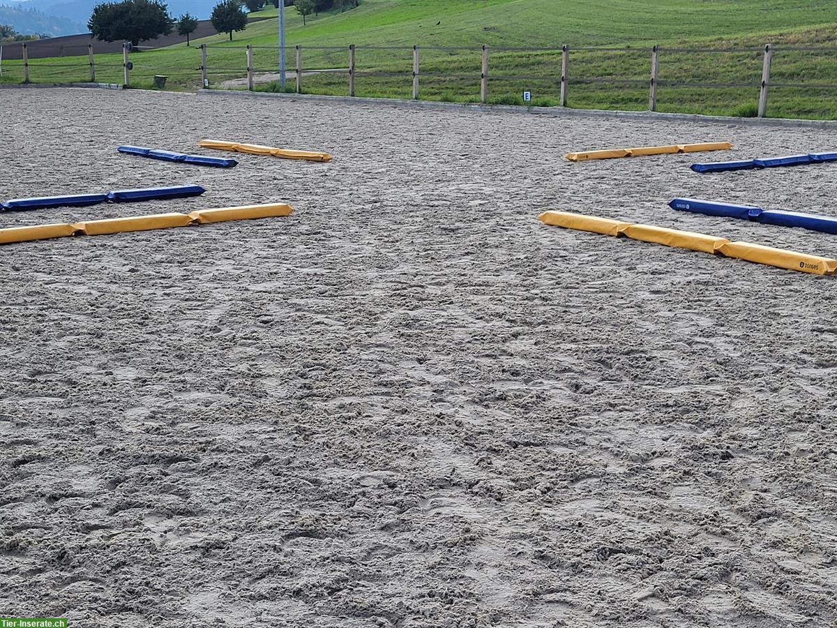 Dönges Pferdegasse-Set mit 8 Gassen zu verkaufen