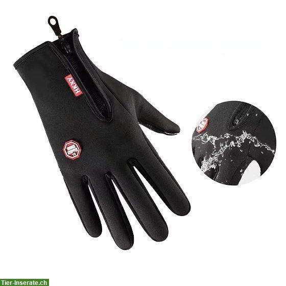 Bild 3: Neue Reithandschuhe Herbst/Winter Gr. M, L und XL
