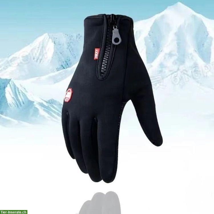 Bild 5: Neue Reithandschuhe Herbst/Winter Gr. M, L und XL